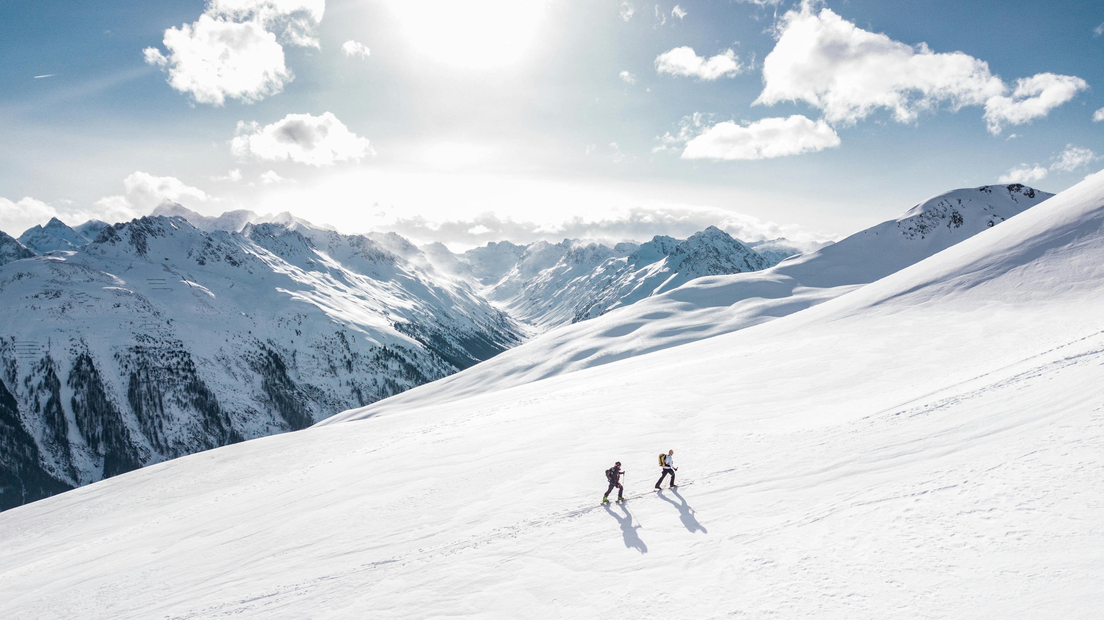 Snow / Alpine